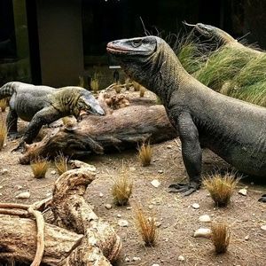 Meet your Posher, Alec